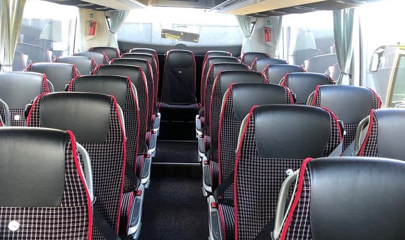 Portugal: Coach booking in Centro in Centro and Ovar