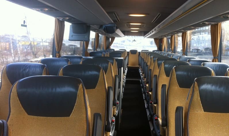 Portugal: Coaches company in Norte in Norte and Ermesinde