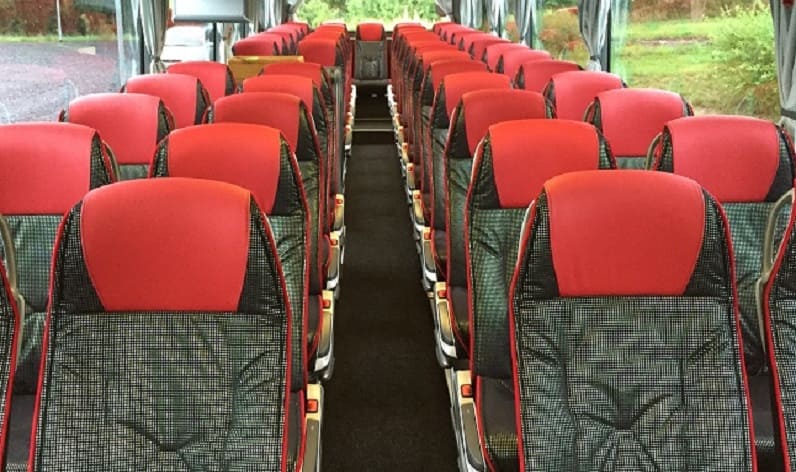 Portugal: Coaches rent in Norte in Norte and São Mamede de Infesta